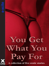 You Get What You Pay For (eBook): A collection of five erotic stories